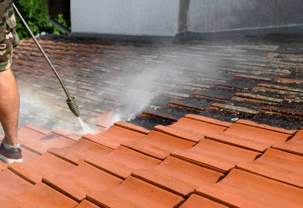 Best House Pressure Washing  in Blue Point, NY