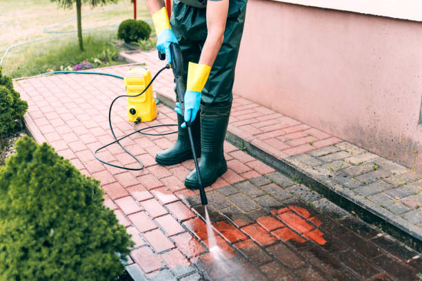 Best Local Pressure Washing Services  in Blue Point, NY