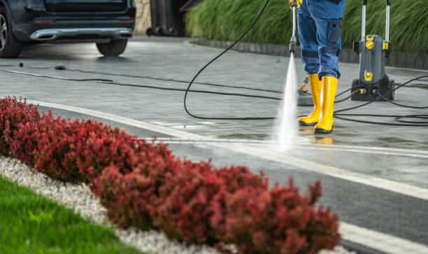Best Local Pressure Washing Services  in Blue Point, NY