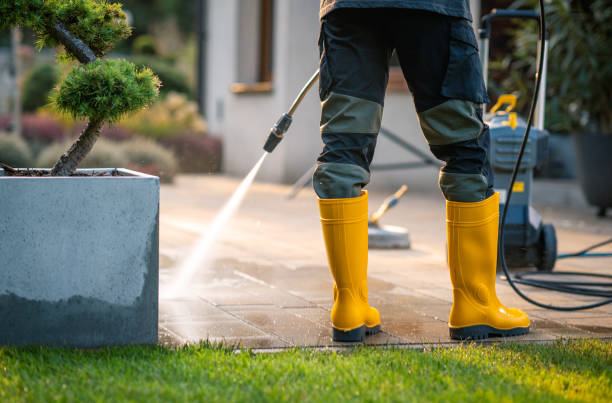 Best Pressure Washing Siding  in Blue Point, NY